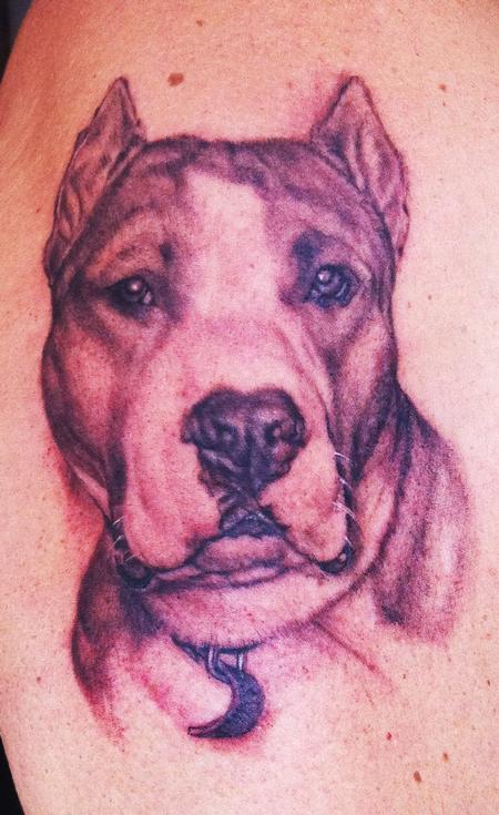Tattoos - Pitbull Portrait Tattoo - 59447